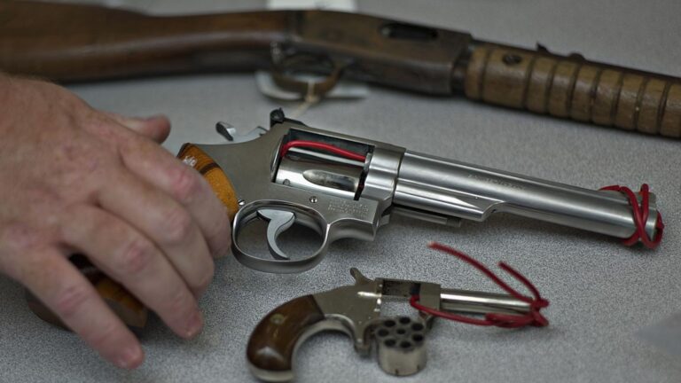 Can I Bring My Guns If I Move to Canada?