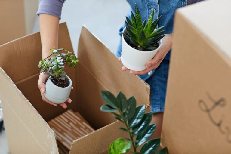 The Ultimate Guide to Transporting Plants Long Distance