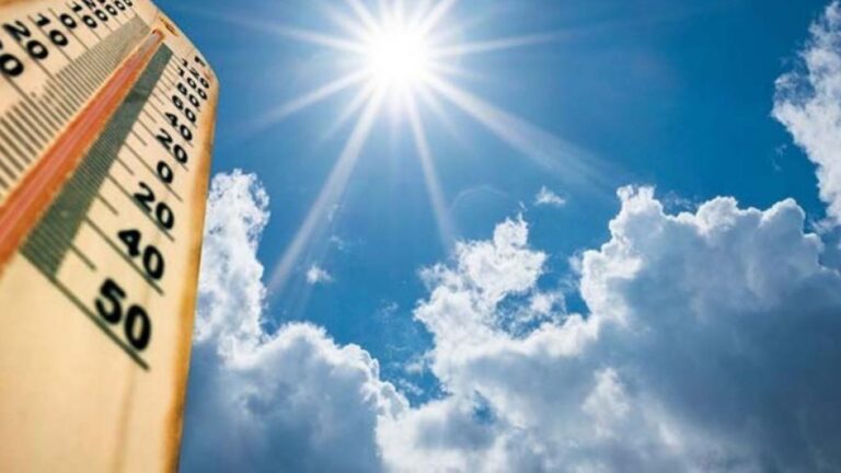 How to Help Your Movers During a Heatwave?