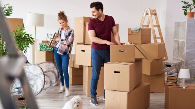 How to Prepare for Professional Packers?