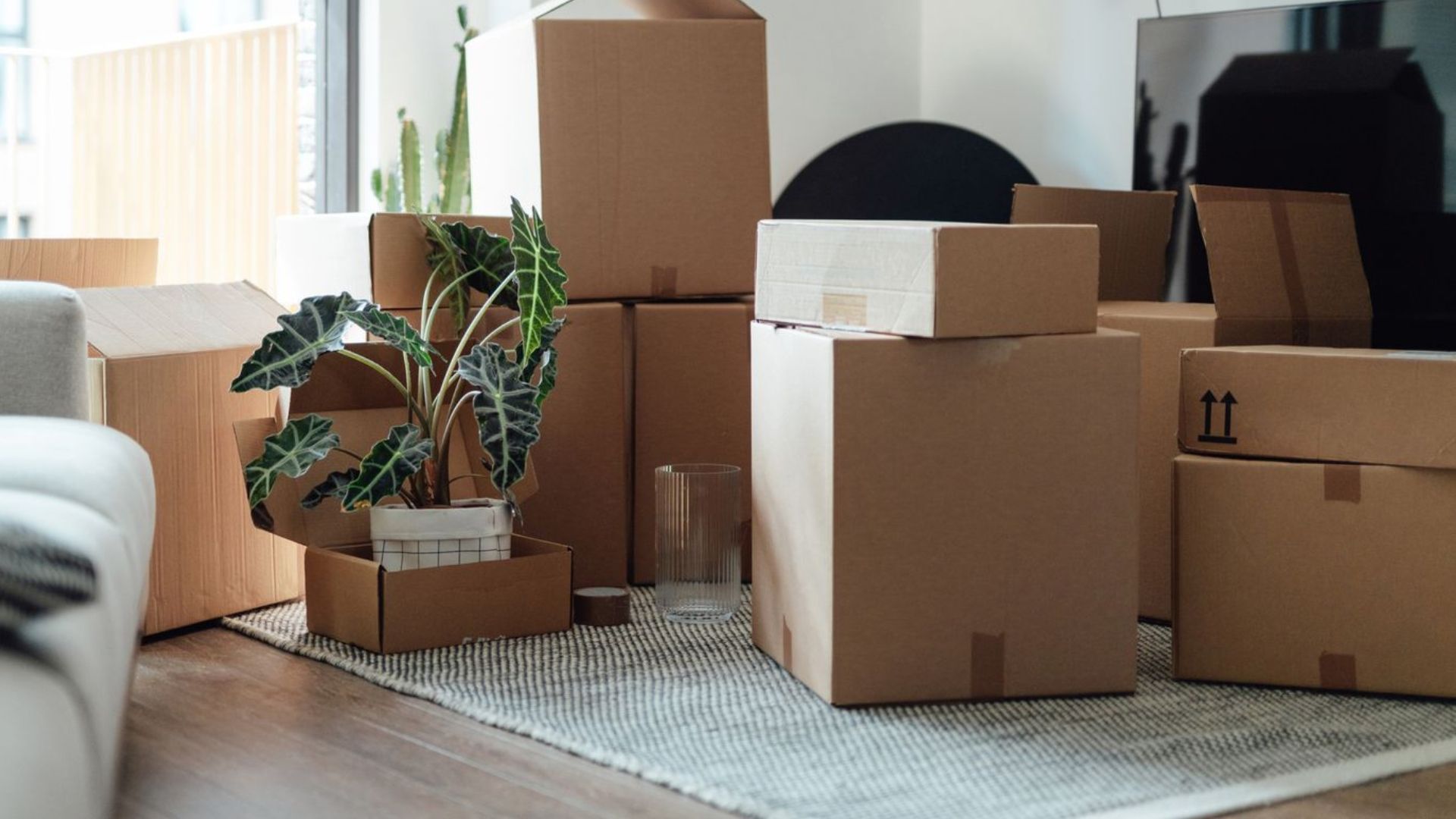 How to Start Decluttering Before a Move?