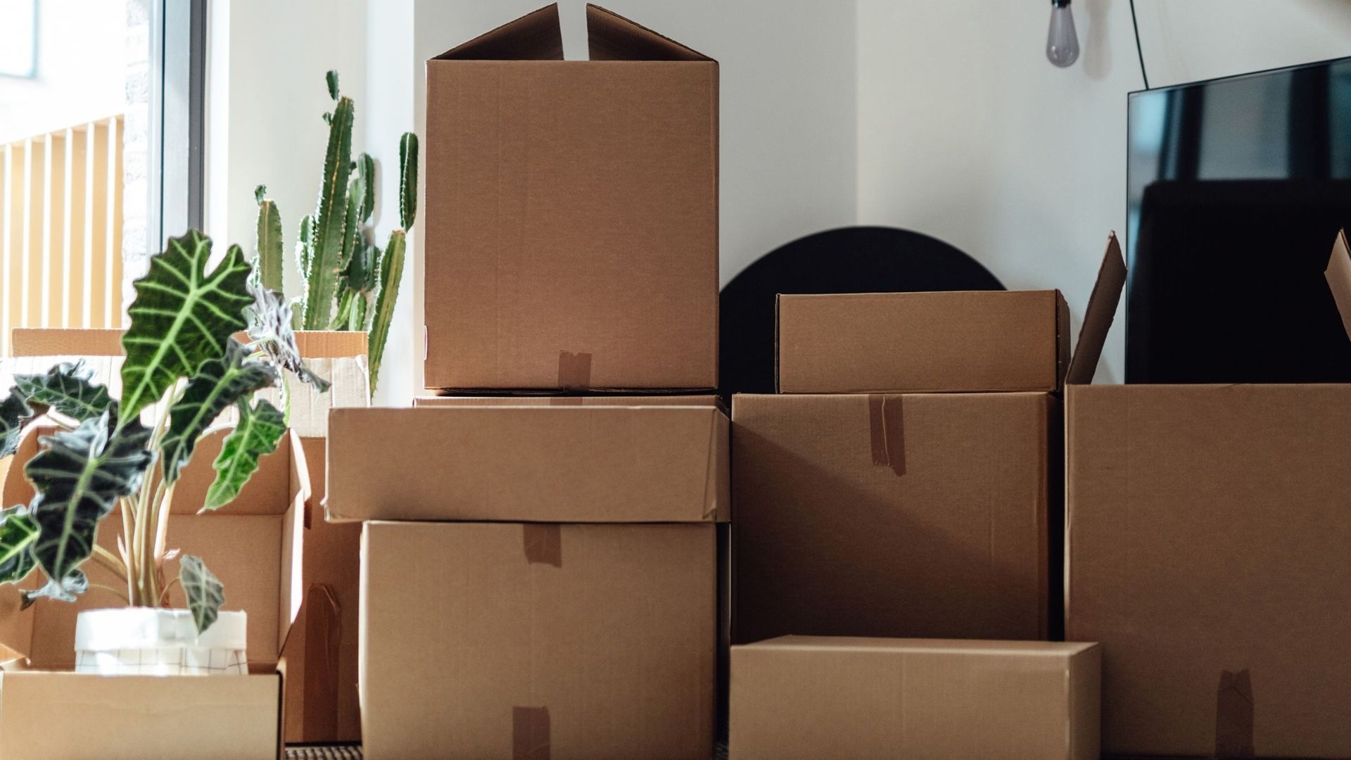 How to Store Moving Boxes?