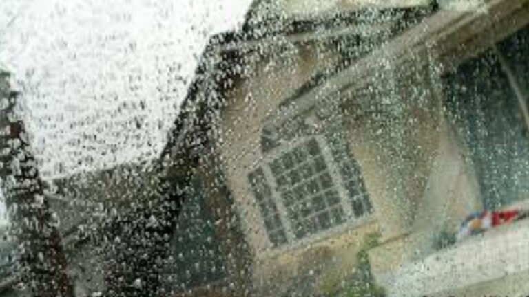 What to Do If It Rains When You Move?