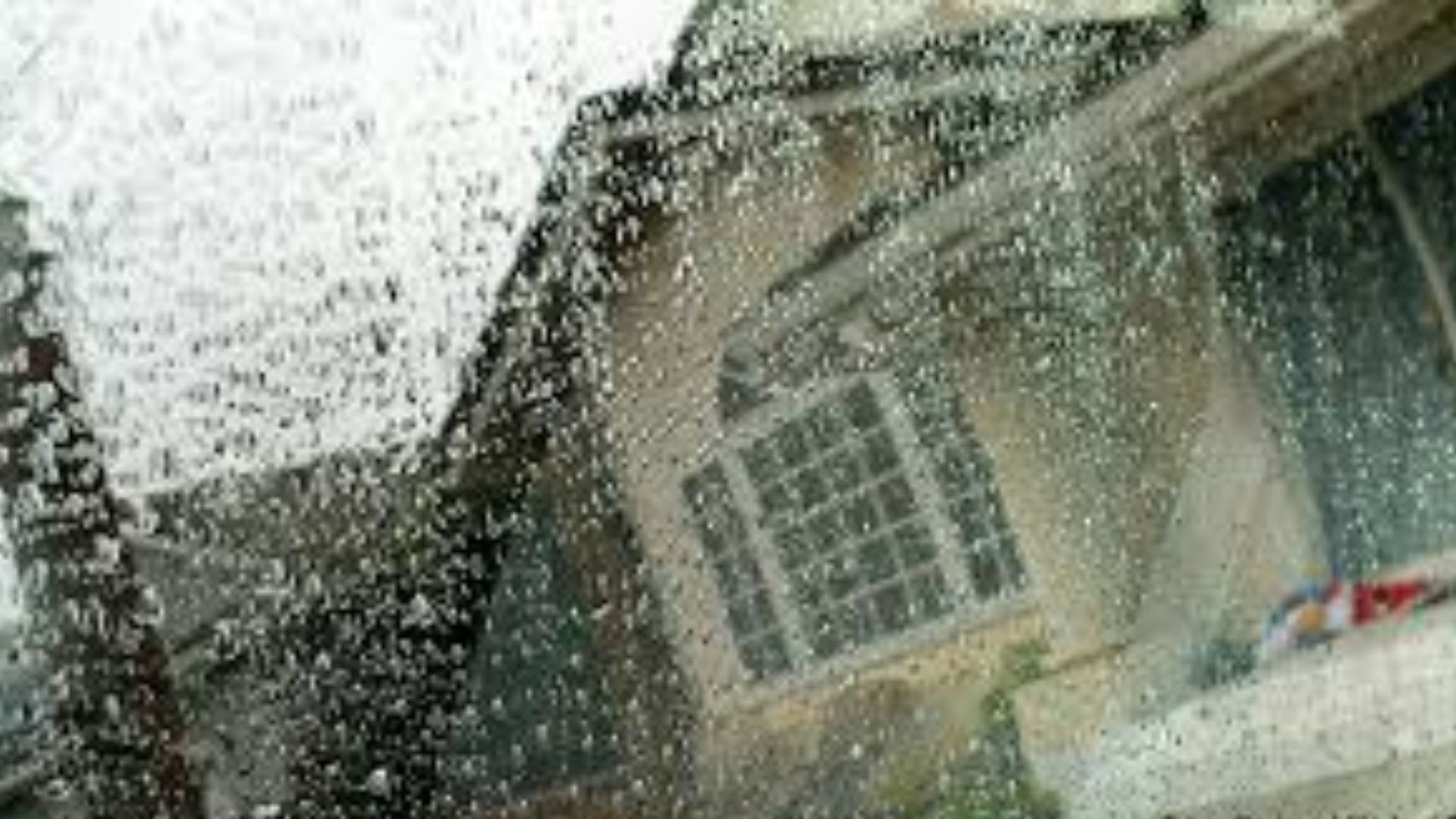 What to Do If It Rains When You Move?