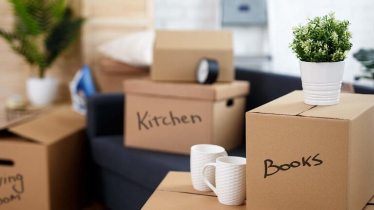 What to Do if You Have No One to Help You Move?
